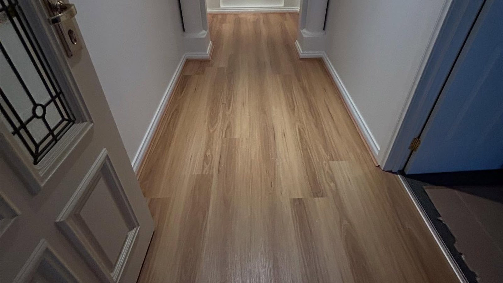 Blackbutt Hybrid — Caroline Springs